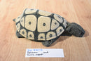 Folkmanis Tortoise Turtle 2000's Full Body Puppet