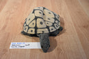 Folkmanis Tortoise Turtle 2000's Full Body Puppet