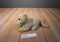 Cougar, Puma Mountain Lion Plush