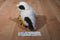 Stuffed Animals Inc. Steven Smith Falcon Chick Plush