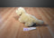 Royal Plush Yellow Lab Plush