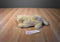 Royal Plush Yellow Lab Plush