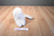Russ White Persian Cat Plush Exclusively For Target