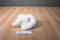 Russ White Persian Cat Plush Exclusively For Target