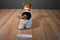 Toy Network Buddy the Fox Terrier 2002 Plush