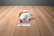 Russ Yomiko Beagle Puppy Plush