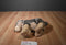 Wild Republic Sitting Wolf 2016 Beanbag Plush