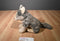 Wild Republic Sitting Wolf 2016 Beanbag Plush