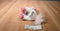 Aurora Round Up White and Pink Horse Beanbag Plush