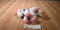 Aurora Round Up White and Pink Horse Beanbag Plush