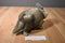 Disney Dinosaurs Eema the Styracosaurus Plush