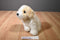 Ty Classic Squirt the White and Tan Dog 2004 Beanbag Plush