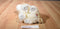 Ty Classic Squirt the White and Tan Dog 2004 Beanbag Plush