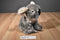 Wild Republic Koala 2018 Beanbag Plush