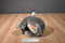 Wild Republic Koala 2018 Beanbag Plush