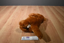 Kohl's Cares Kangaroo and Joey Beanbag Plush and Pouch Hardcover Book