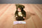 Anne Geddes Squirrel Babies 1998 Beanbag Plush