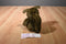 Anne Geddes Squirrel Babies 1998 Beanbag Plush