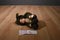 Anne Geddes Squirrel Babies 1998 Beanbag Plush