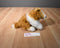 Animal Alley Sable(Brown) and White Collie Beanbag Plush