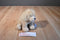 Ganz Webkinz Golden Retriever Beanbag Plush HM010 Sealed Code