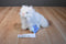 Ganz Webkinz White Persian Cat Beanbag Plush HM110 Sealed Code