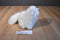 Ganz Webkinz White Persian Cat Beanbag Plush HM110 Sealed Code