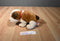 Ty Beanie Buddies Top Dog Bulldog 2004 Beanbag Plush With red Collar