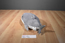 Kohl's Cares Gilbert the Great White Shark 2017 Plush