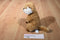 Giftable World Marmot 2017 Beanbag Plush