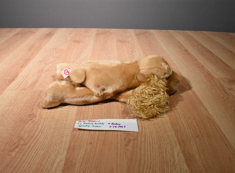 Ty Buddies 2000 and Babies 1997 Spunky the Cocker Spaniel Beanbag Plush