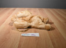 Ty Buddies 2000 and Babies 1997 Spunky the Cocker Spaniel Beanbag Plush