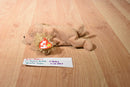 Ty Buddies 2000 and Babies 1997 Spunky the Cocker Spaniel Beanbag Plush
