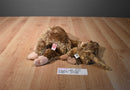 Ty Beanie Buddies and Babies Bonsai Brown Monkey Beanbag Plush