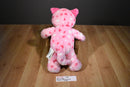 Build-a-Bear Huggable Hearts Pink Cat 2014 Plush with Hearts