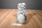 Husqvarna Grey and White Husky Dog 1994 Plush