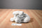 Husqvarna Grey and White Husky Dog 1994 Plush