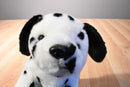 Ty Buddies and Babies Dotty 2 Dalmatians Beanbag Plush