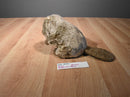 Gund Bibbers the Brown Beaver Beanbag Plush