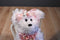 The Bearington Collection Charity the Pink Angel Bear Beanbag Plush