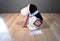 Dakin Opus The Yuppie Phase Bloom County Washington Post 1985 Plush