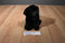 Melissa & Doug Benson the Black Lab Puppy Dog Beanbag Plush