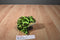 Ganz Webkinz Lil Kinz Bullfrog HS114 Beanbag Plush Sealed Code