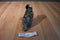 Smithsonian Little Sound Prints Wolf Cub 2005 Plush