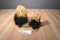 Ty Buddies and Babies Yapper the Yorkshire Terrier 2004 Beanbag Plush