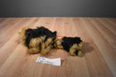 Ty Buddies and Babies Yapper the Yorkshire Terrier 2004 Beanbag Plush