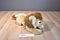 Animal Alley Lion Beanbag Plush