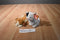 Ty Beanie Babies Sampson Dog and Delilah Cat Beanbag Plush