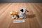 Ty Beanie Babies Sampson Dog and Delilah Cat Beanbag Plush