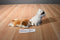 Ty Beanie Babies Sampson Dog and Delilah Cat Beanbag Plush
